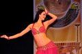 Galashow2010   058